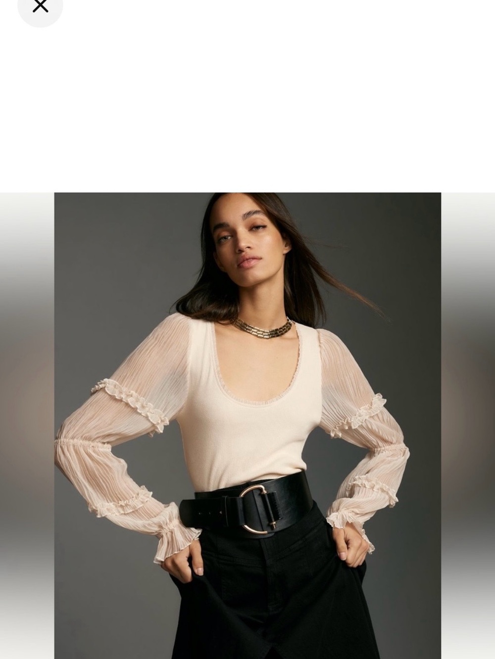 Sheer Puff-Sleeve Scoop Neck Top in cream Anthropologie XL